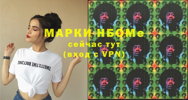 spice Бородино