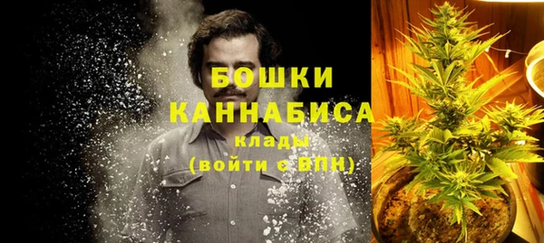 шишки Верхний Тагил