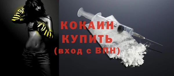 шишки Верхний Тагил