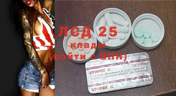spice Бородино