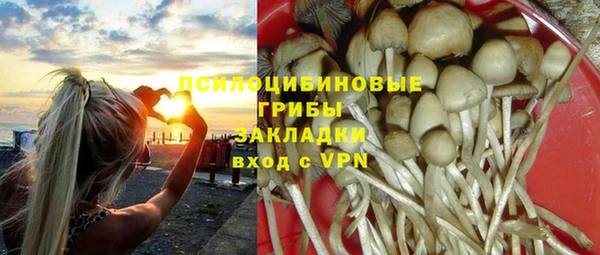 spice Бородино