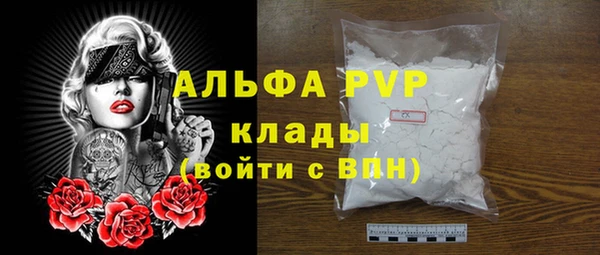 шишки Верхний Тагил