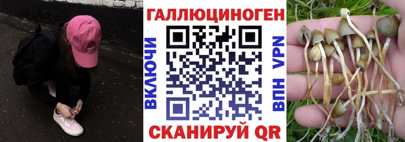 Псилоцибиновые грибы Magic Shrooms  Калтан 